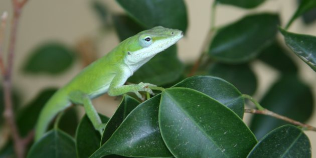 Resolve Conflict Through Curiosity