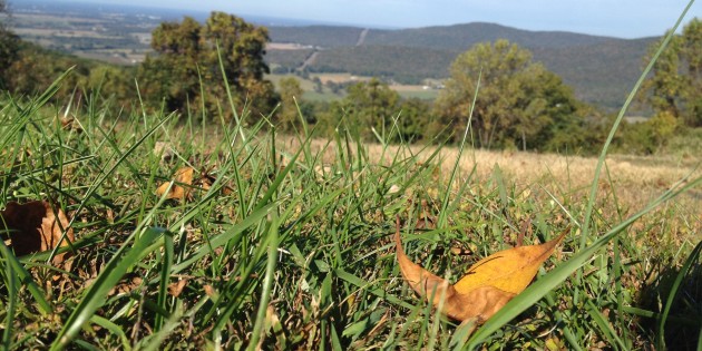 One Question to Ask Yourself